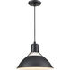 R Series 1 Light 13 inch Satin Black Indoor Pendant Ceiling Light